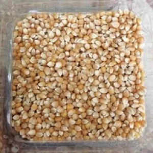 ذرت خشک ۵۰۰ گرمی